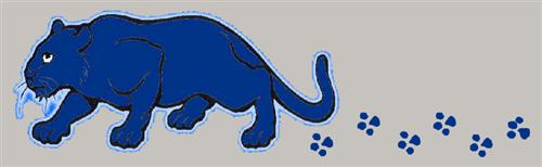 Anderson Panther logo 