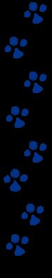 Panther Paws 