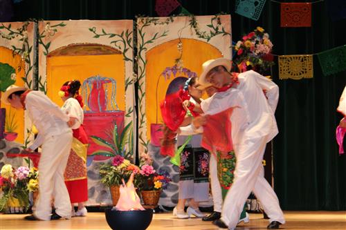 Cinco4 
