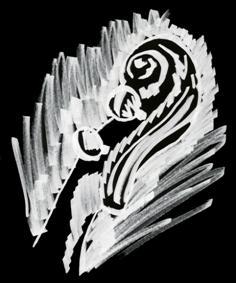 orchestra 