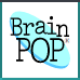 brain 