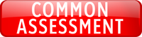 common assessment 