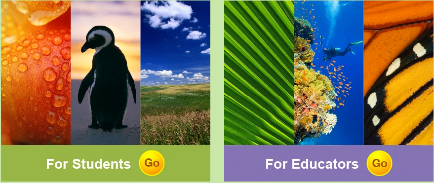 National Geographic Learning 