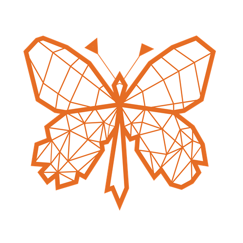 Butterfly Project 