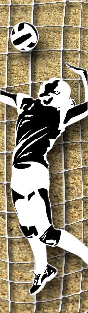 Volleyball 
