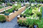 Gardening Club 
