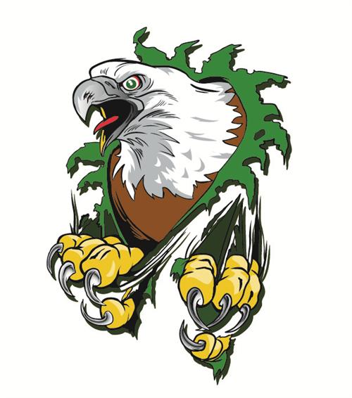 small eagle 
