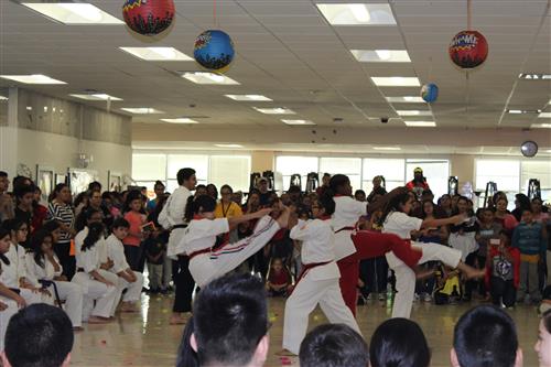 Karate 12 