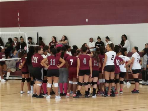 volleyball 