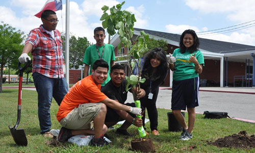 Eastwood Academy - Planting a Texas Redbud - School Grounds Pathway