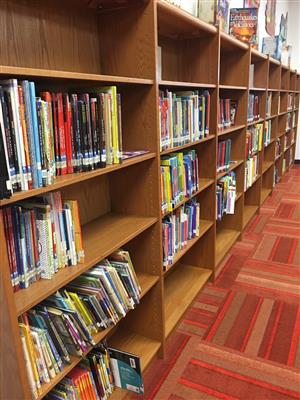 book shelf 