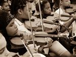 Music Scholars 
