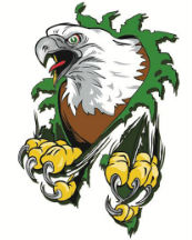 Eagle99 