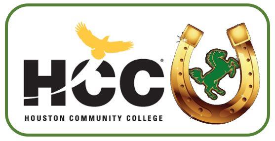 HCC