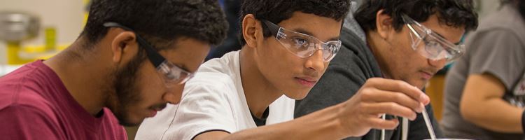 Male Students