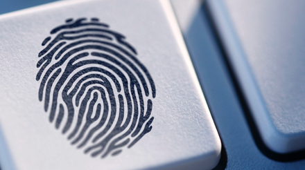  id theft