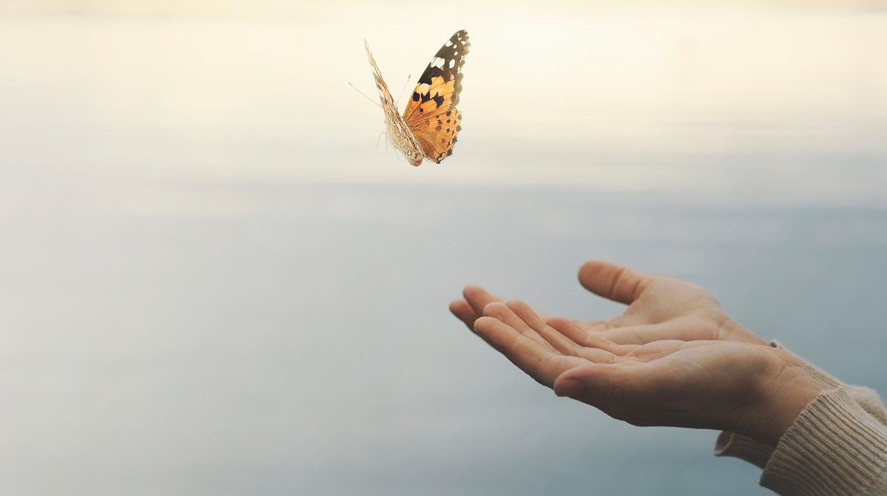 hands letting go butterly