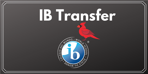 ib 