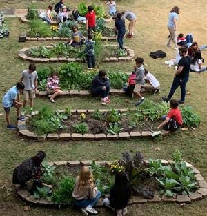 gardening 