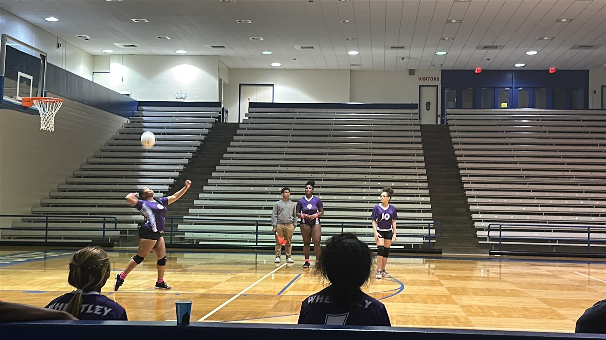 V Ball