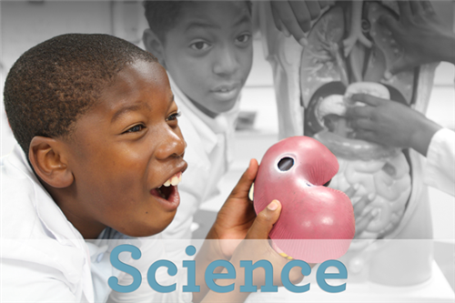 Science 