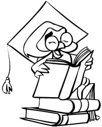 scholarly owl 