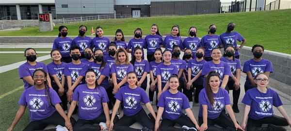 Pantherettes