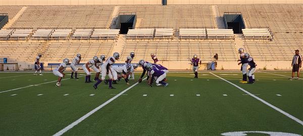Purple and Gray Game