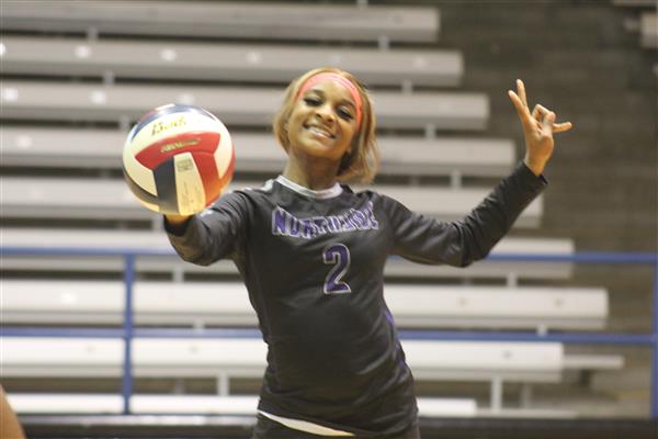 Volleyball Game