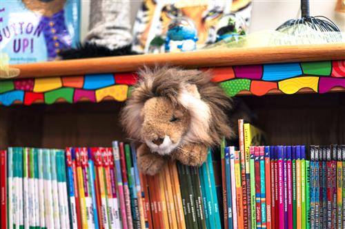 Lion Books