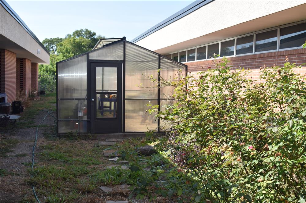Community Garden
