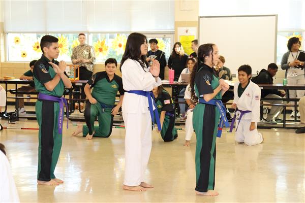 Karate 11